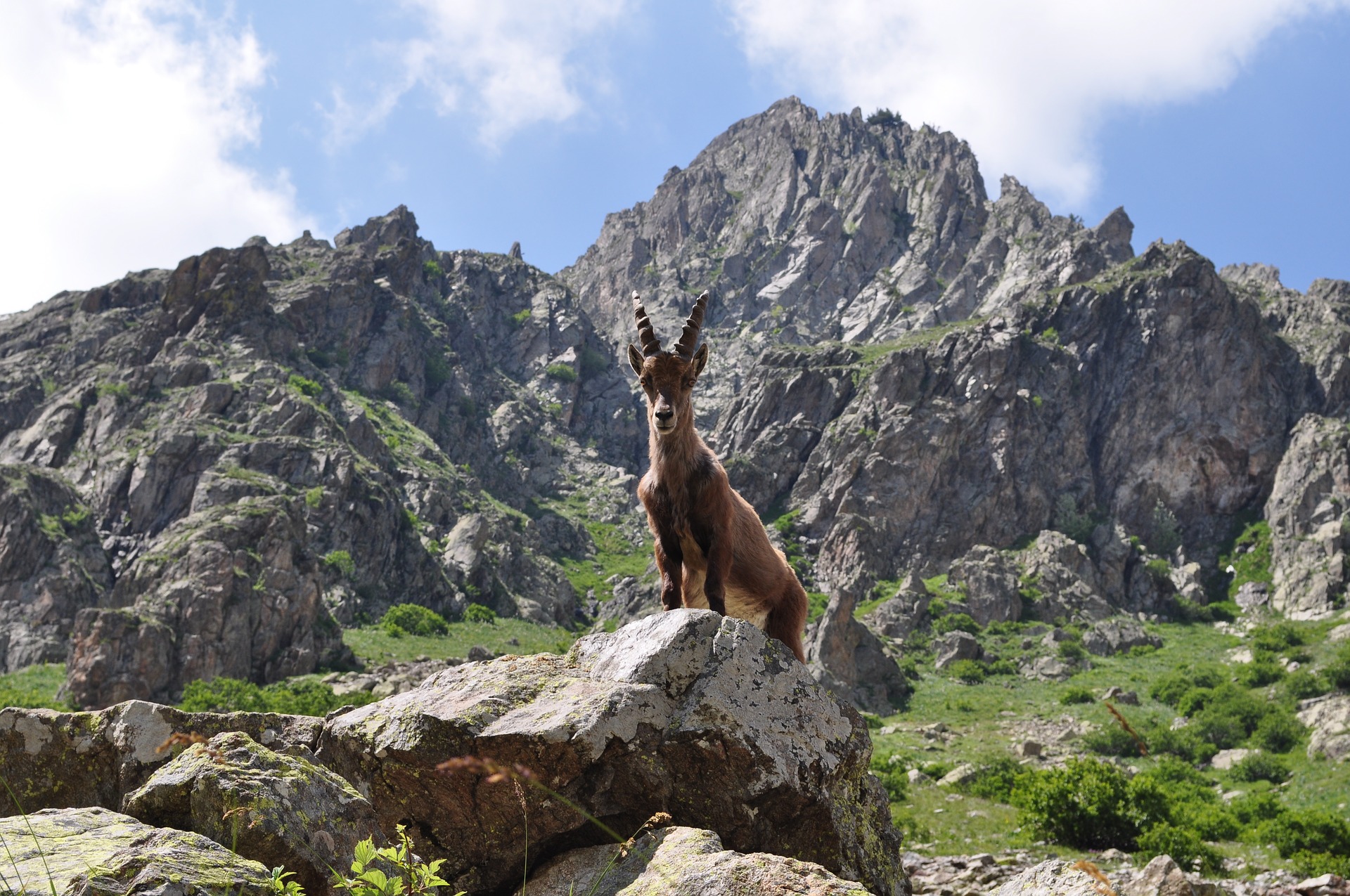 Alta Val Seriana